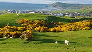 Ballantrae village, Ayrshire self-catering